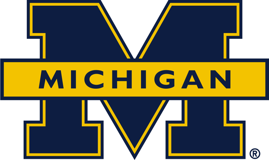 Michigan Wolverines 2016-Pres Secondary Logo v2 DIY iron on transfer (heat transfer)